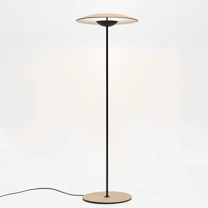 Innovative Directional Floor Lamp with Adjustable LED Light