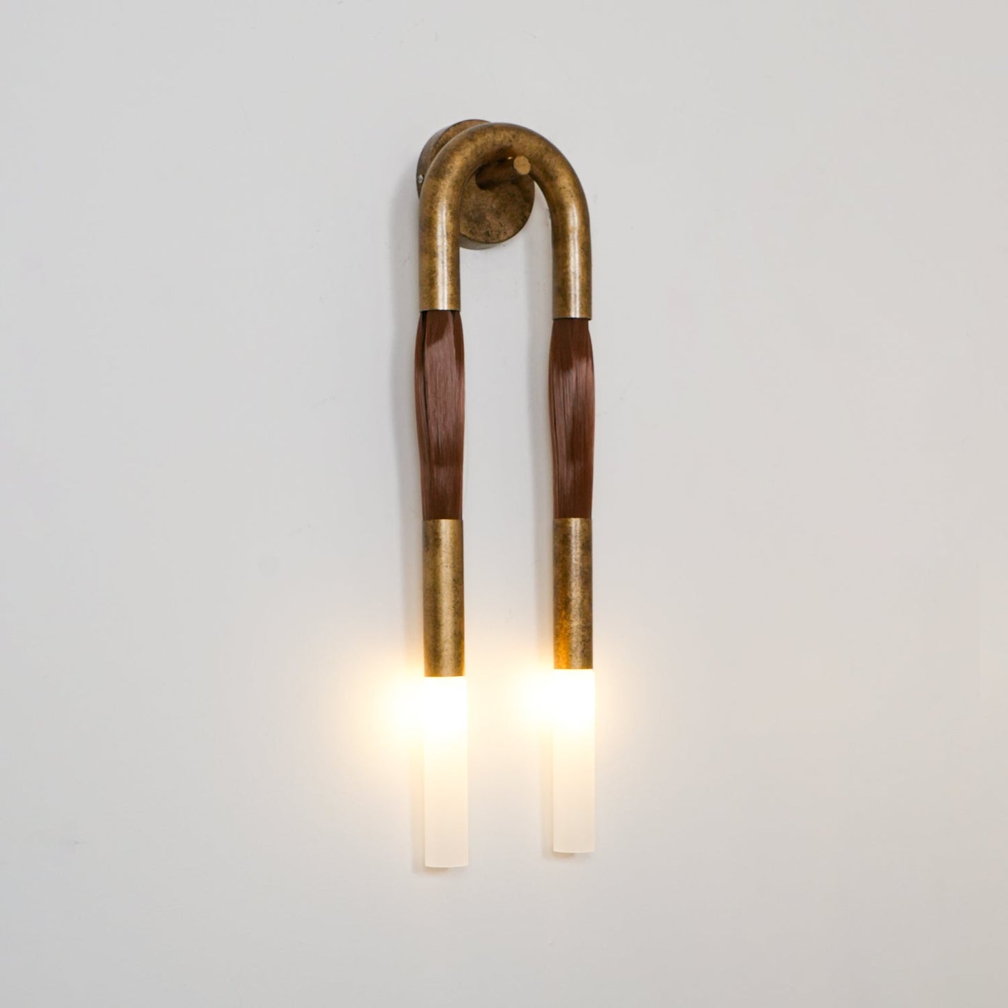 Horsehair Wall Lamp with Wrought Iron and Glass Design