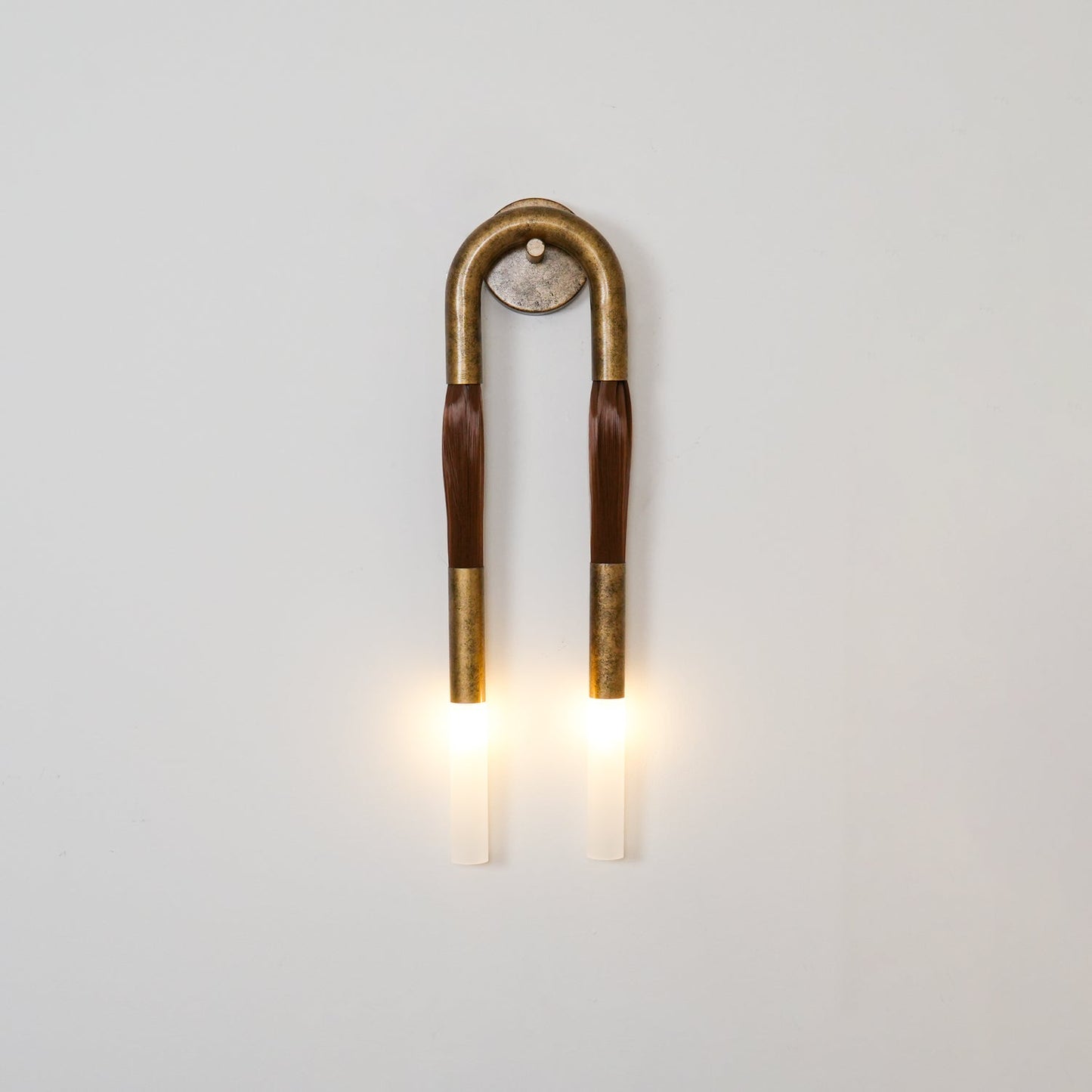 Horsehair Wall Lamp with Wrought Iron and Glass Design