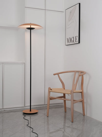 Innovative Directional Floor Lamp with Adjustable LED Light