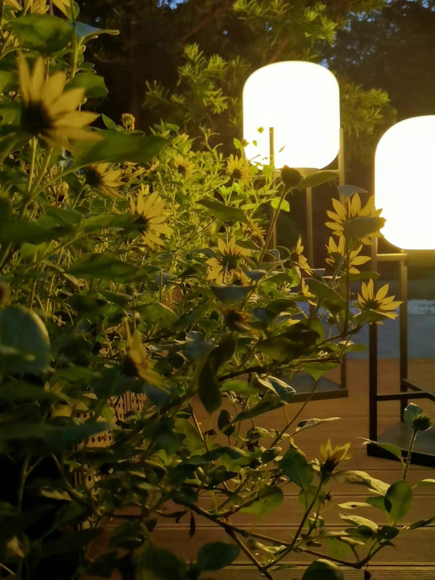 Solar Floor Lamp Lantern for Outdoors - Waterproof LED Light