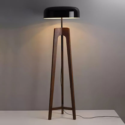 Linea Floor Lamp - LED Walnut with Black Shade for Indoor Use