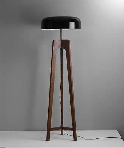 Linea Floor Lamp - LED Walnut with Black Shade for Indoor Use
