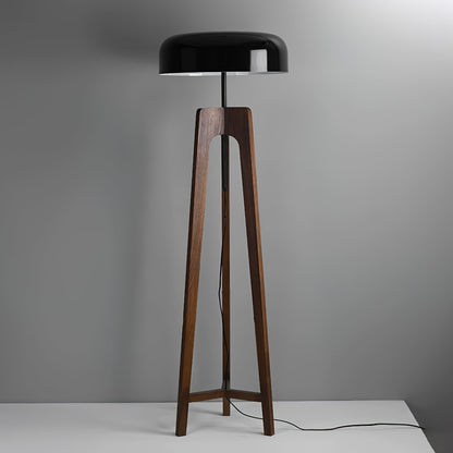 Linea Floor Lamp - LED Walnut with Black Shade for Indoor Use