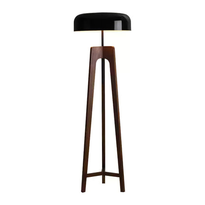 Linea Floor Lamp - LED Walnut with Black Shade for Indoor Use