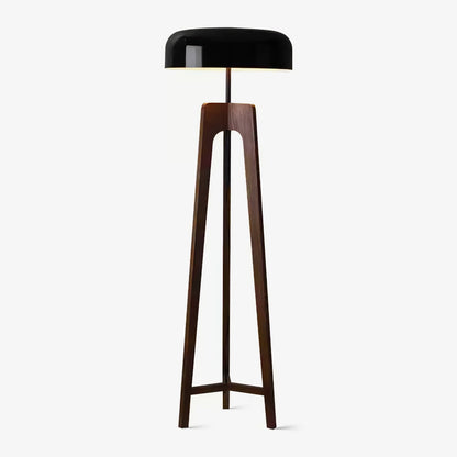 Linea Floor Lamp - LED Walnut with Black Shade for Indoor Use