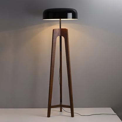 Linea Floor Lamp - LED Walnut with Black Shade for Indoor Use