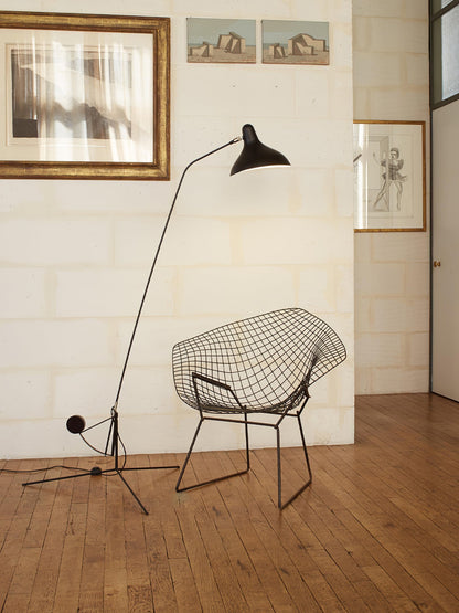 Mantis Arm Floor Lamp with LED, Adjustable Height, Black