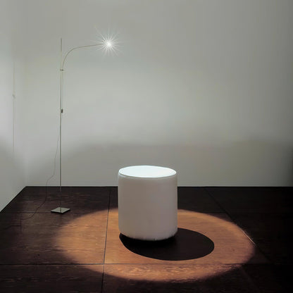 Metal Body Graceful Floor Lamp with Integrated LED Light