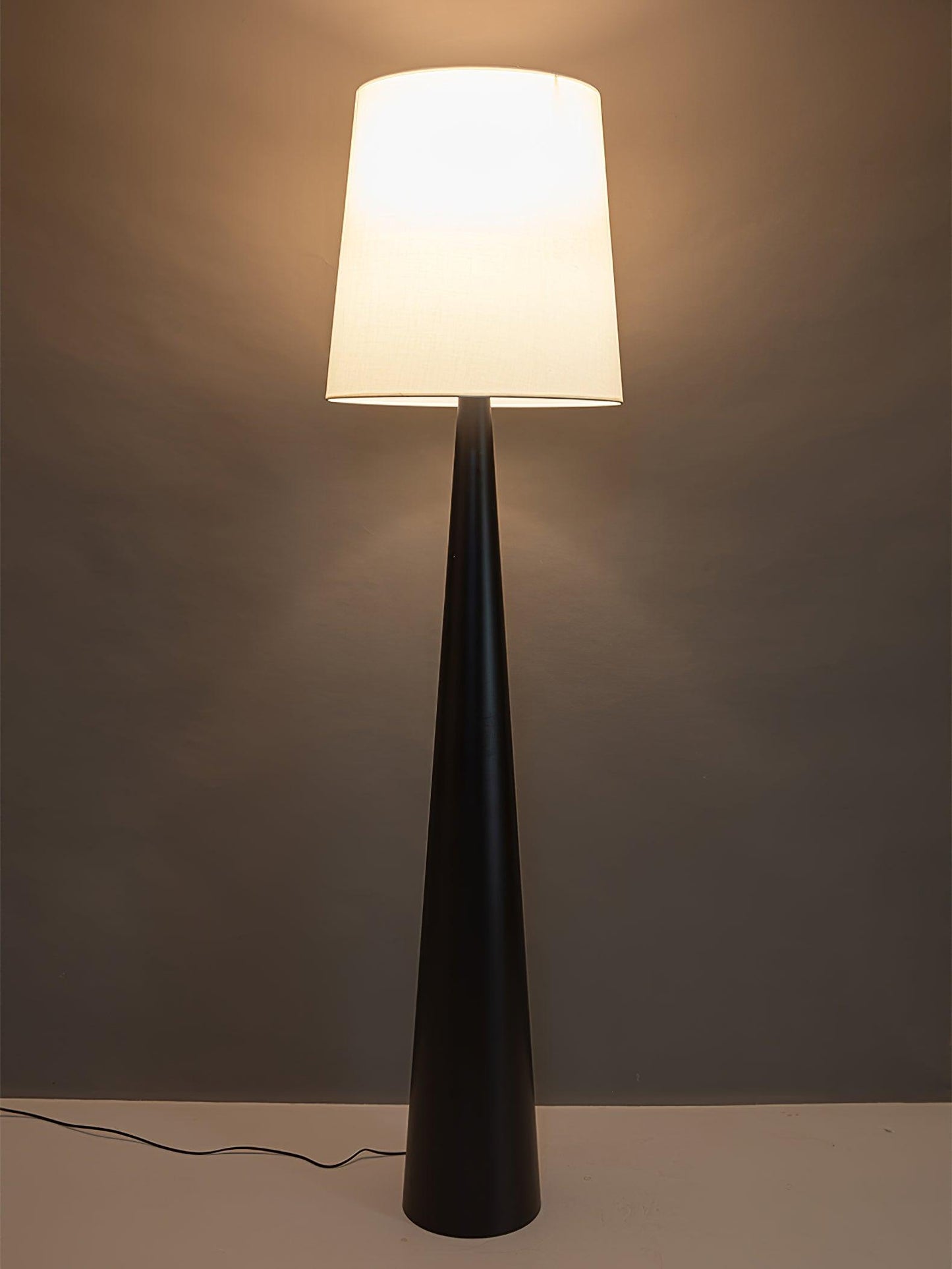 Montenegro Floor Lamp - Black Iron LED Indoor Lighting