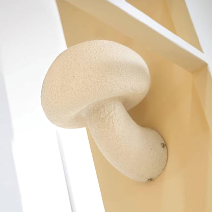 Mushroom Resin Plug-in Wall Lamp with LED Light - 2 Pack