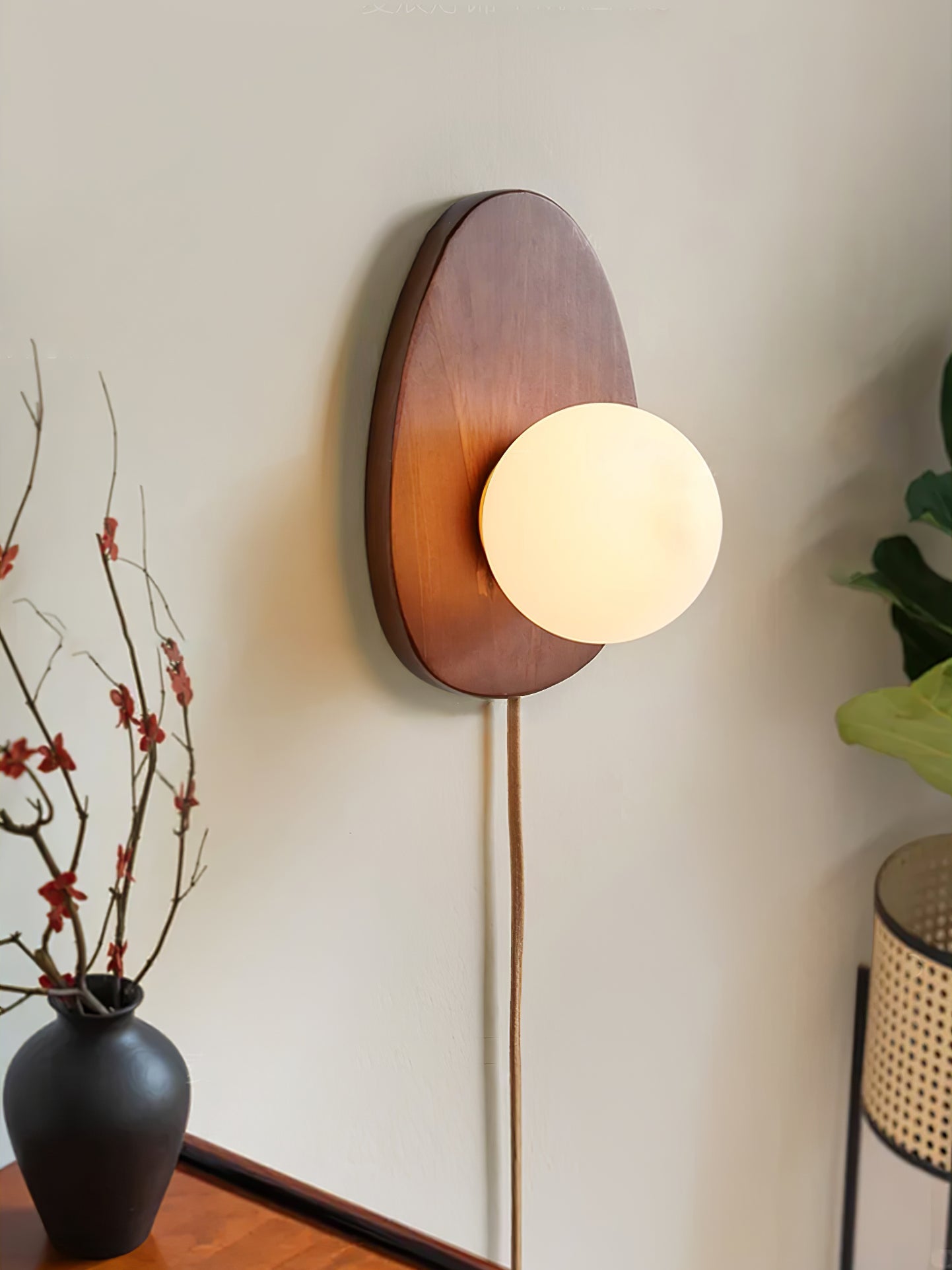 Orba Walnut Plug-in Wall Lamp with LED Indoor Lighting
