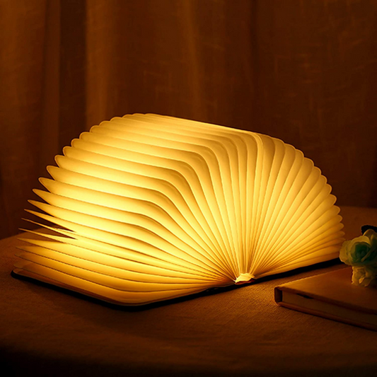 Frendorf Buch Lampe LED Book Light Dimmable Rechargeable