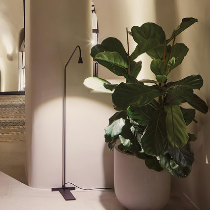 Pureform Floor Lamp Minimalist LED Indoor Lighting Gold Black
