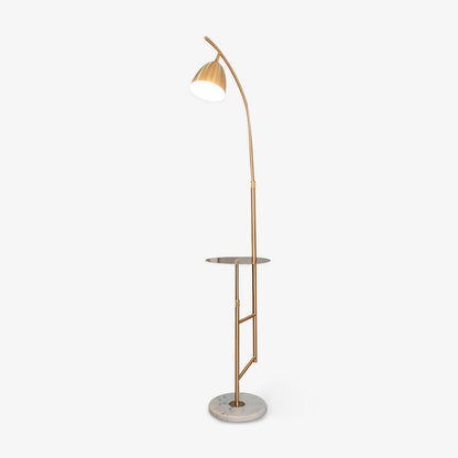 Rani Floor Lamp with Tray, LED, Metal, Black, Gold Finish