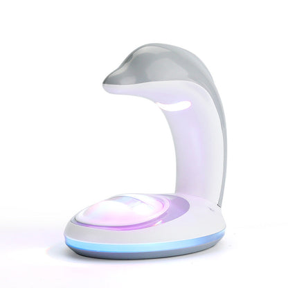 Kreative Dolphin Projection Rainbow LED USB Night Light Lamp