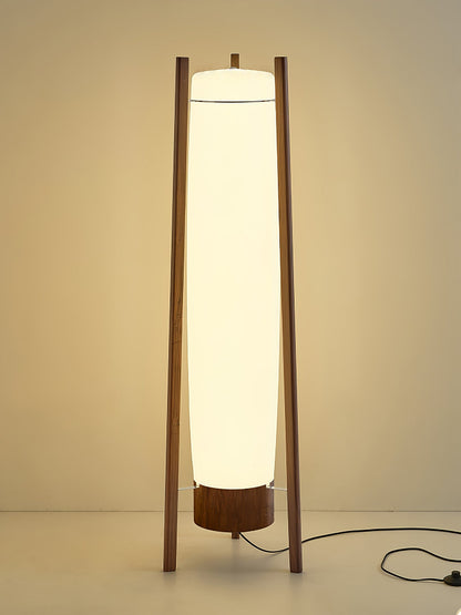 Side LED Floor Lamp with Walnut Finish and Warm Light