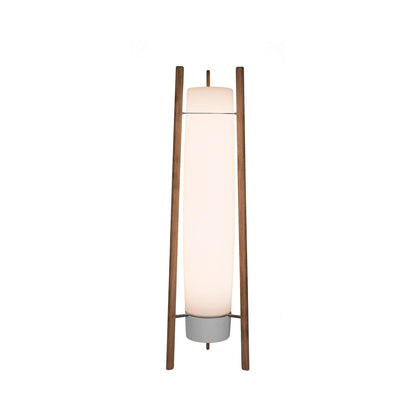 Side LED Floor Lamp with Walnut Finish and Warm Light