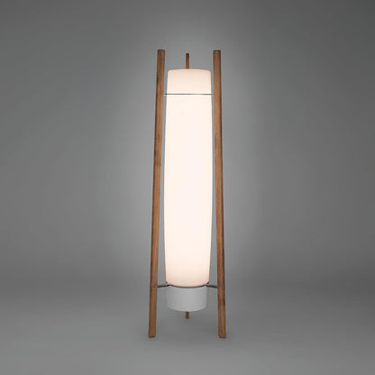 Side LED Floor Lamp with Walnut Finish and Warm Light