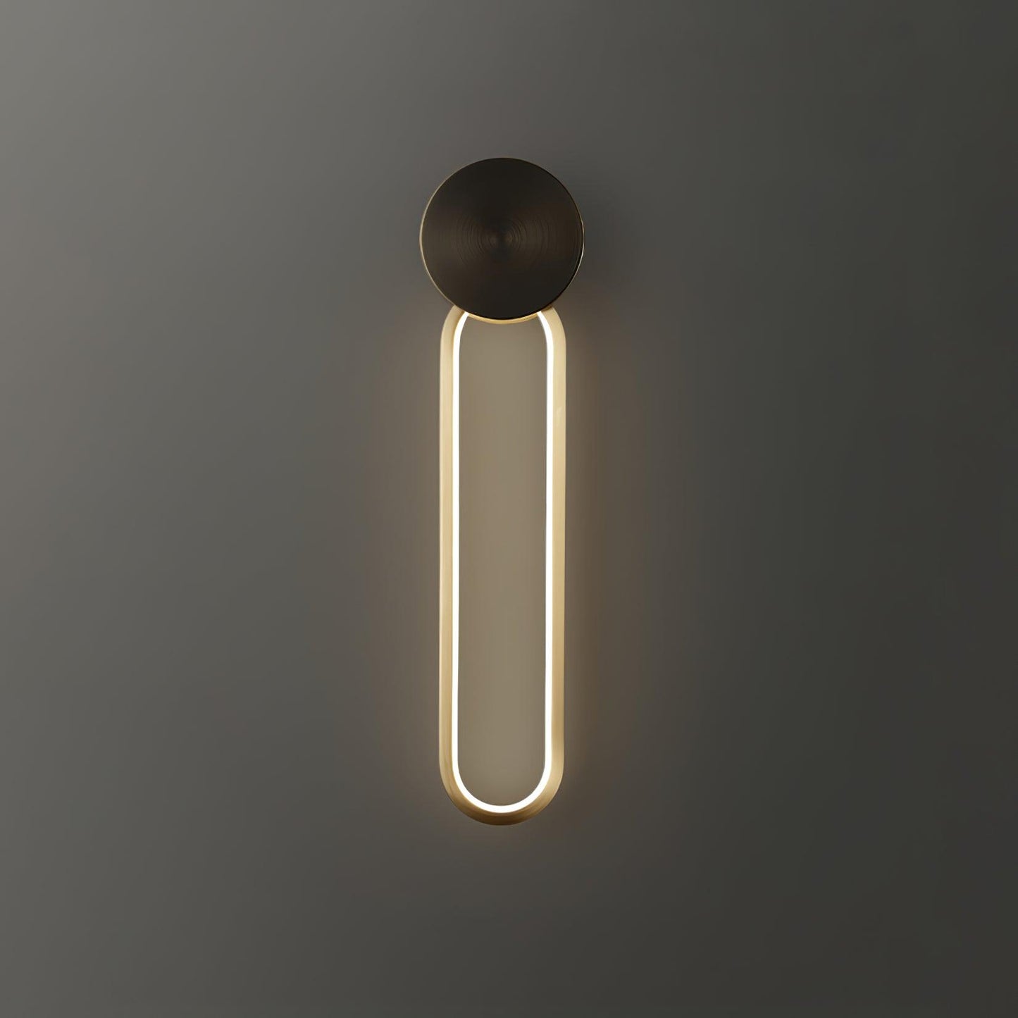 Simple Elliptical Wall Sconce with Integrated LED Lighting