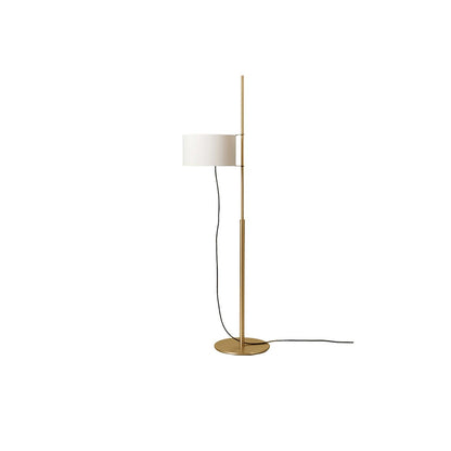 Svelte Silhouette Floor Lamp - LED, Modern Design, Indoor Use