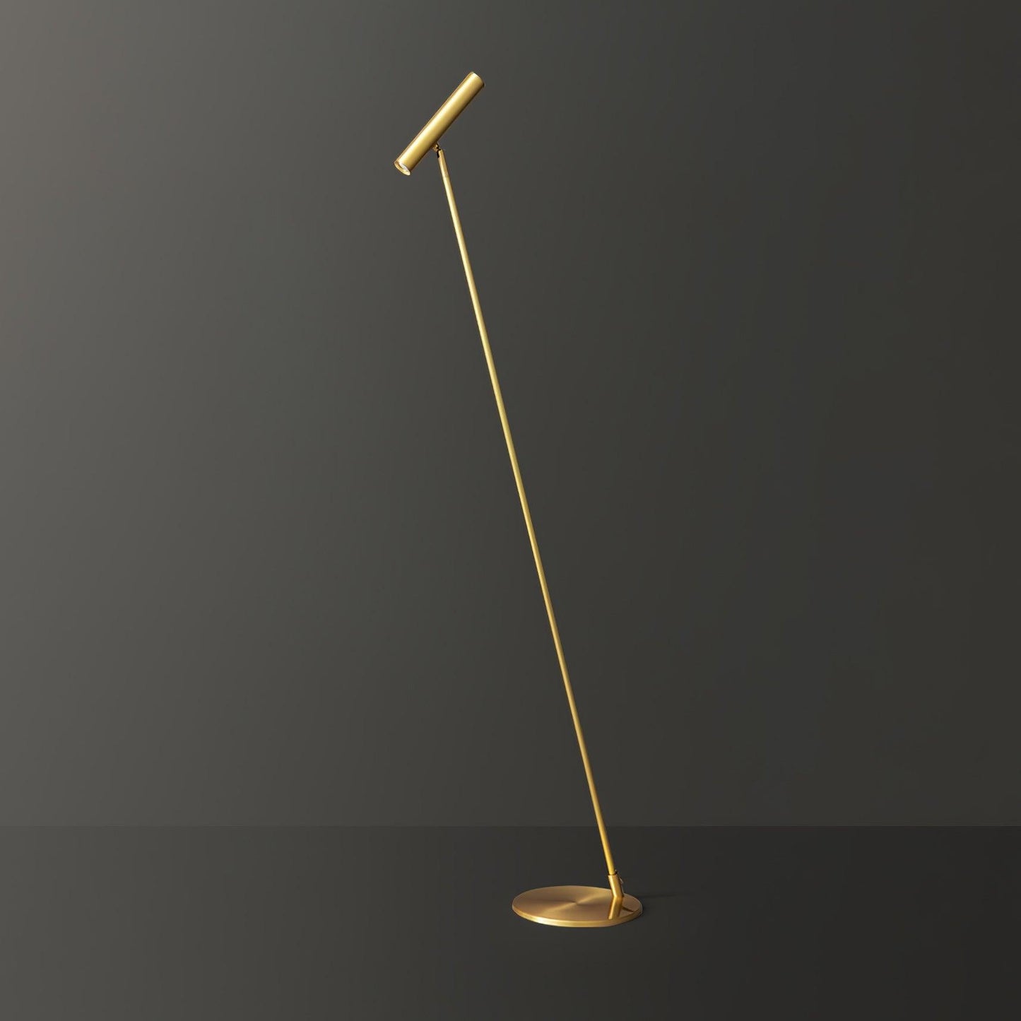 Tom LED Floor Lamp - Dimmable Adjustable Light - Indoor Use