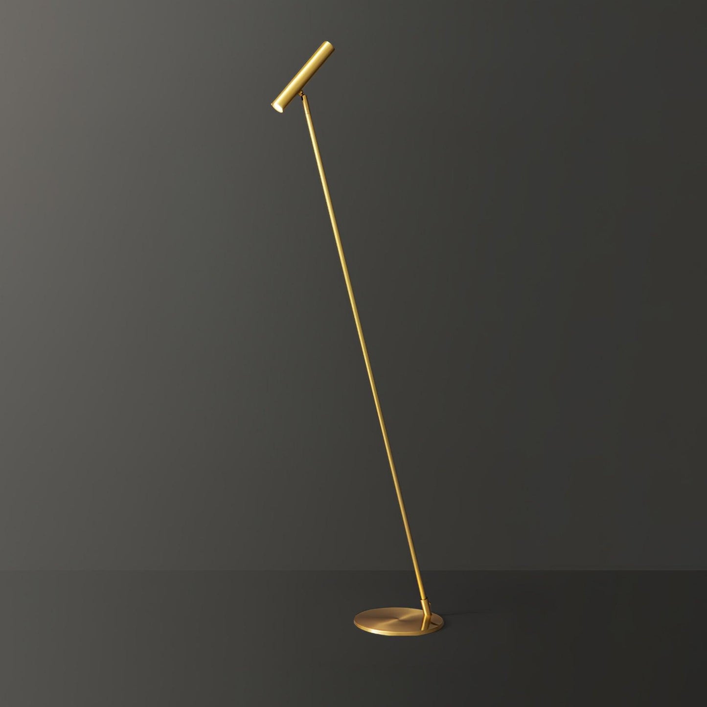 Tom LED Floor Lamp - Dimmable Adjustable Light - Indoor Use