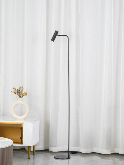 Torris Floor Lamp with Adjustable LED Light and Brass Finish