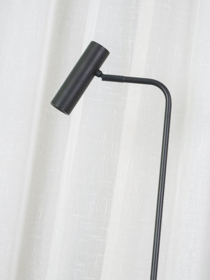 Torris Floor Lamp with Adjustable LED Light and Brass Finish