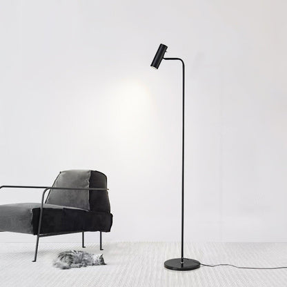 Torris Floor Lamp with Adjustable LED Light and Brass Finish