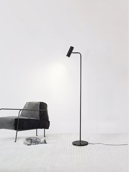 Torris Floor Lamp with Adjustable LED Light and Brass Finish