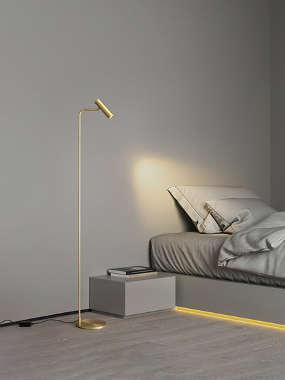 Torris Floor Lamp with Adjustable LED Light and Brass Finish