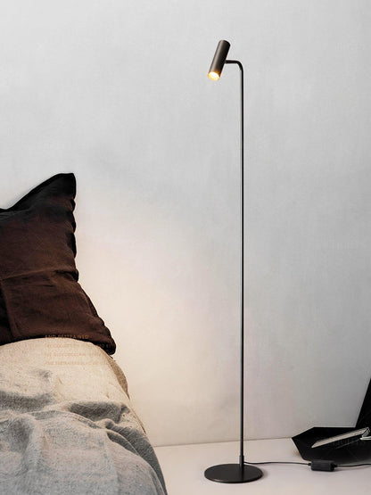 Torris Floor Lamp with Adjustable LED Light and Brass Finish