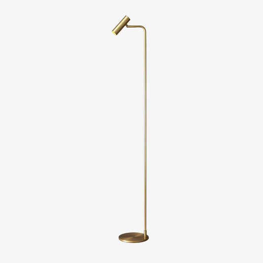 Torris Floor Lamp with Adjustable LED Light and Brass Finish
