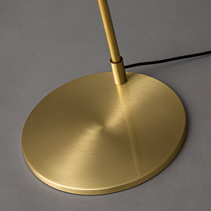 Torris Floor Lamp with Adjustable LED Light and Brass Finish