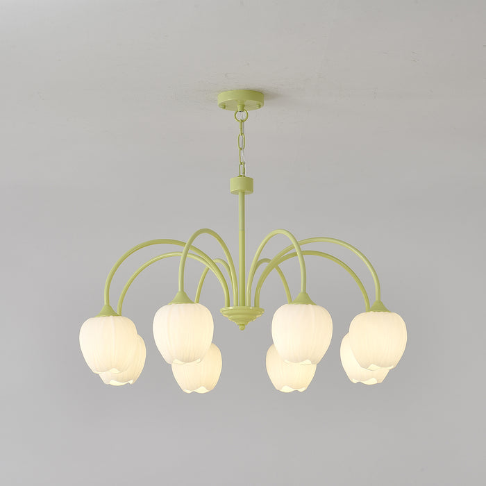 Tulip Matcha Chandelier LED Light Fixture for Home Decor