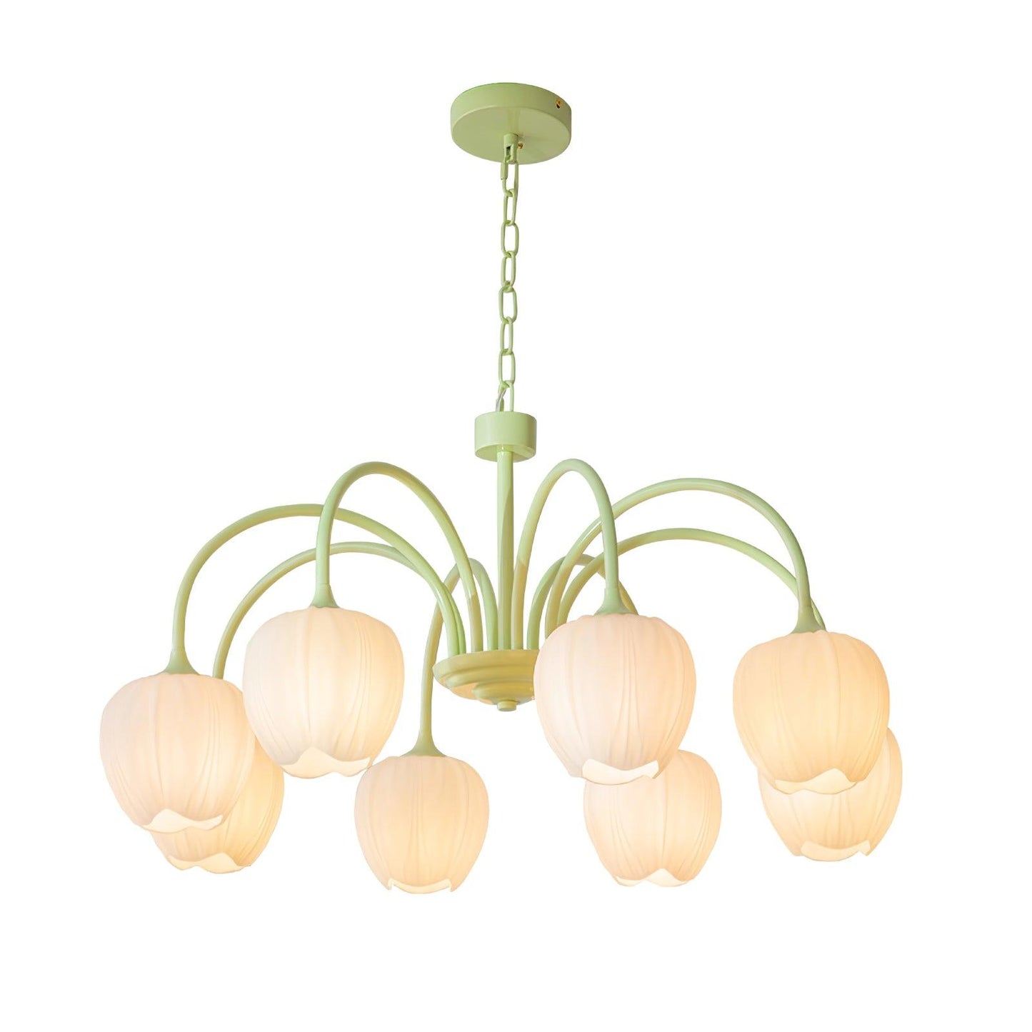 Tulip Matcha Chandelier LED Light Fixture for Home Decor