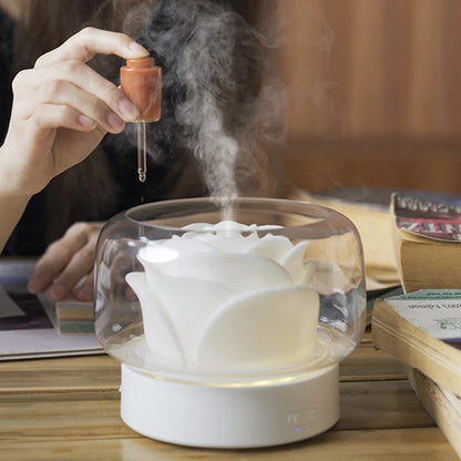 Premium Aromatherapy Diffuser with LED Light – USB Rechargeable