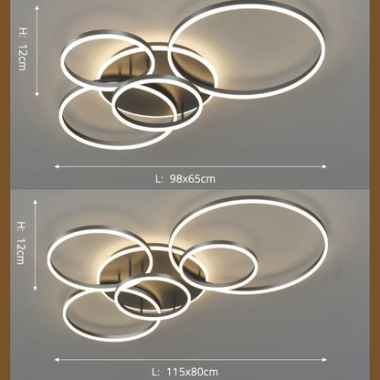 Modern Ceiling Light Black - Stylish LED Fixture for Home