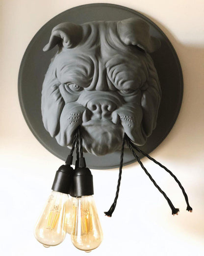 Amsterdam Wall Lamp - Indoor LED Bulldog Sconce Light