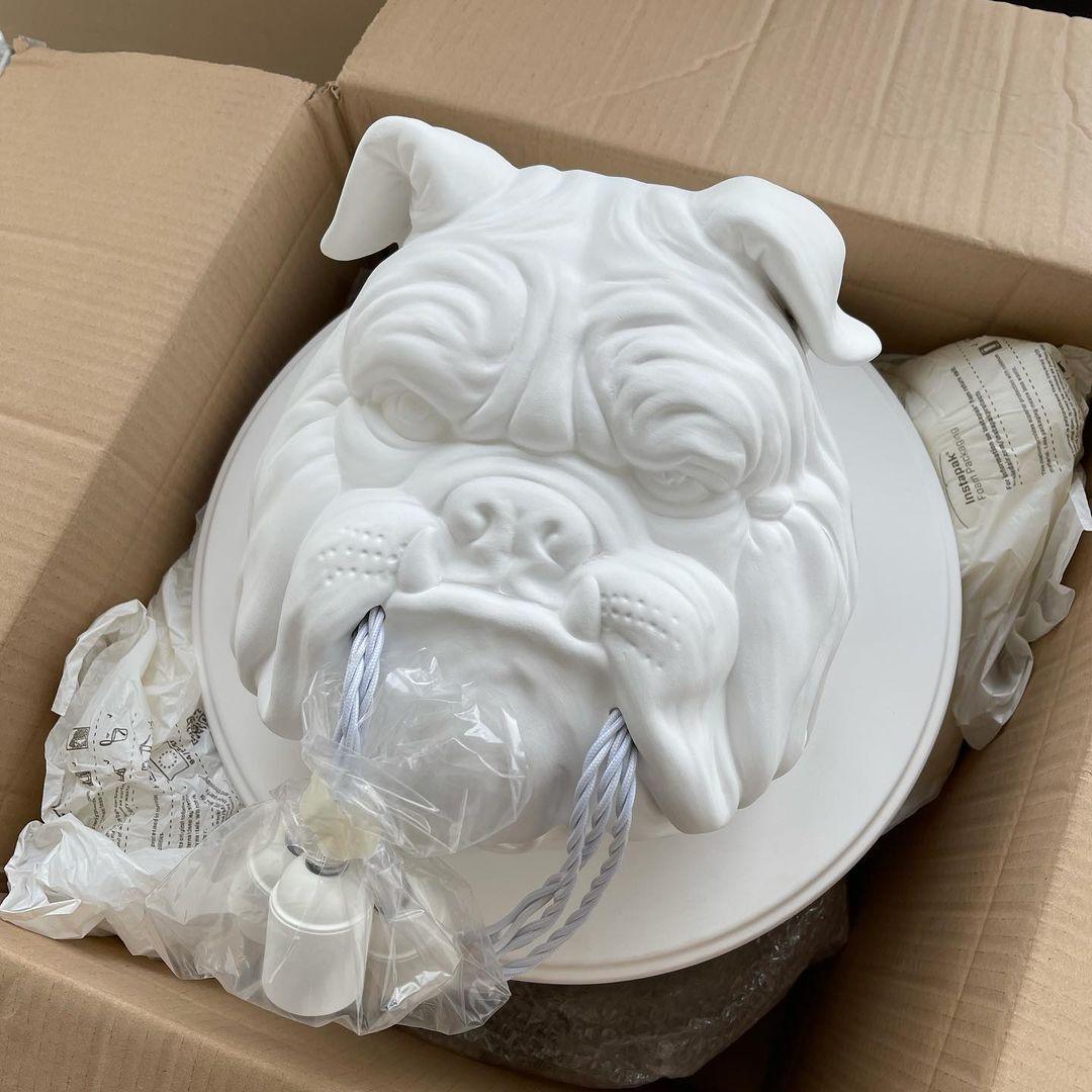 Amsterdam Wall Lamp - Indoor LED Bulldog Sconce Light