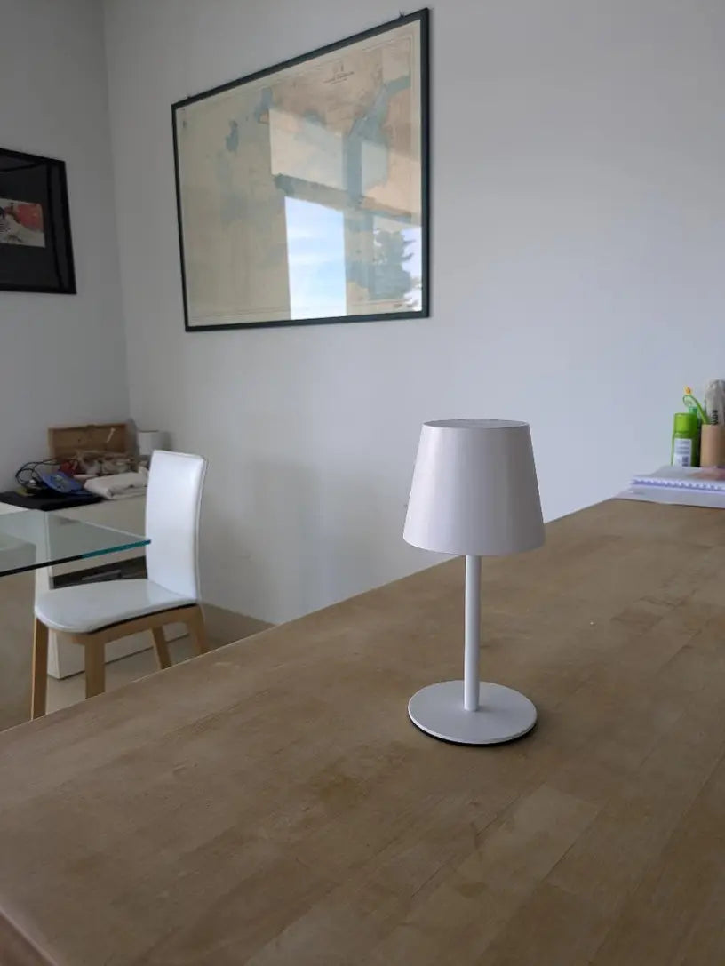 Frendorf LED Table Lamp - Wireless, Touch Control & Dimmable Light